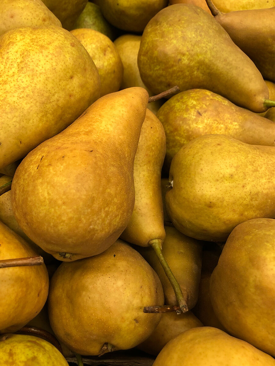 https://www.finerfruit.com.au/content/product/regular/full/Pears_-_Brown_Beurre_Bosc-291-260.jpg