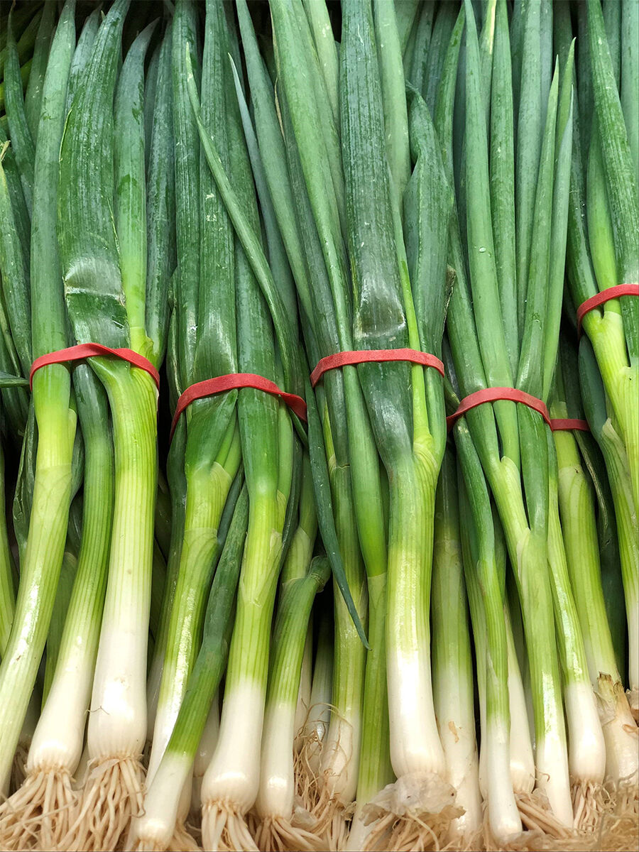Spring Onion | Finer Fruit Shepparton
