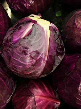 Cabbage - Red