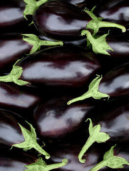 Eggplant