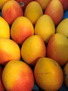 MANGO