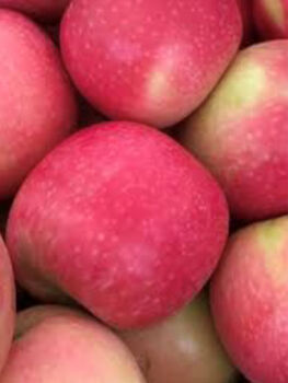 Apples - Pink Lady 